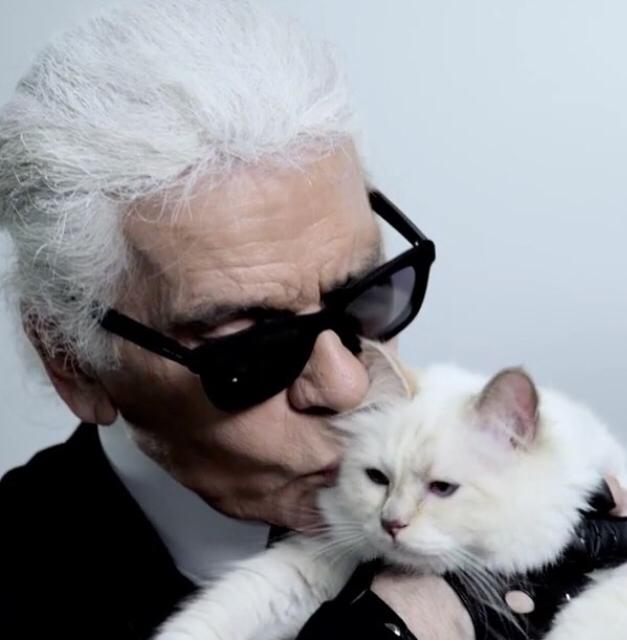 13 Fakta Choupette, Kucing Kesayangan Karl Lagerfeld