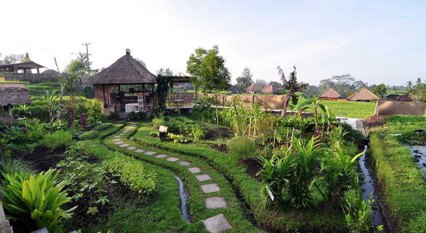  Suasana Pedesaan  Wapa di Ume Resort and Spa