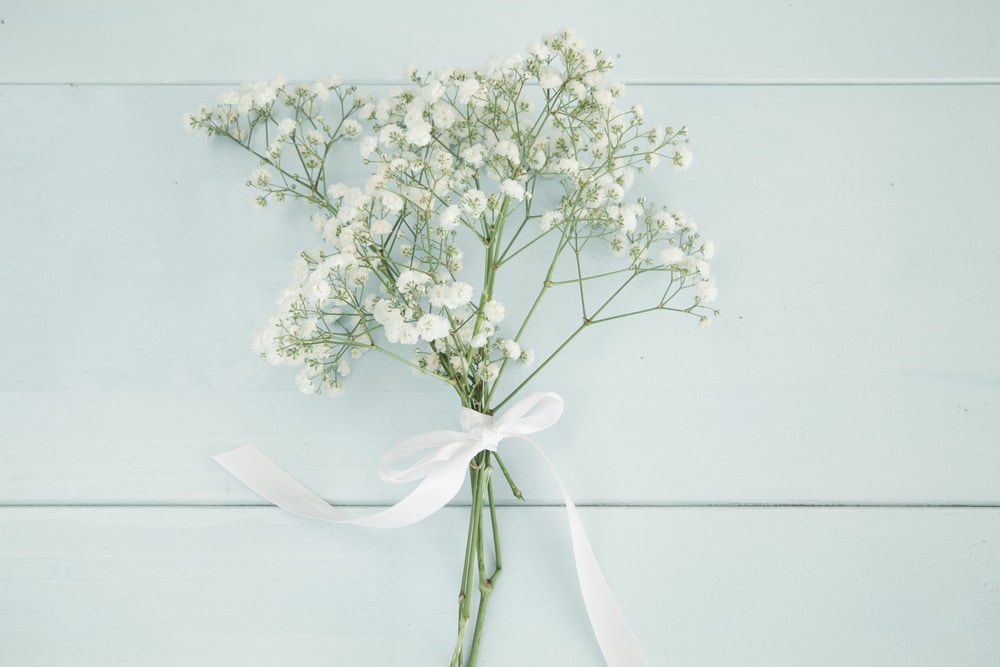 5 Bunga Murah yang Indah untuk Pernikahan