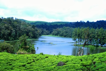 Situ Patenggang, Destinasi Wisata untuk Relaksasi