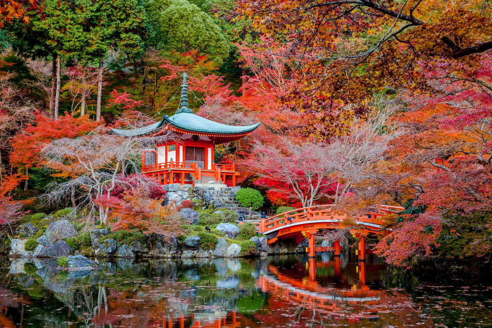 Tempat Liburan Hits di Tokyo