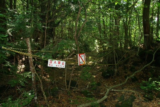Cerita di Hutan Aokigahara