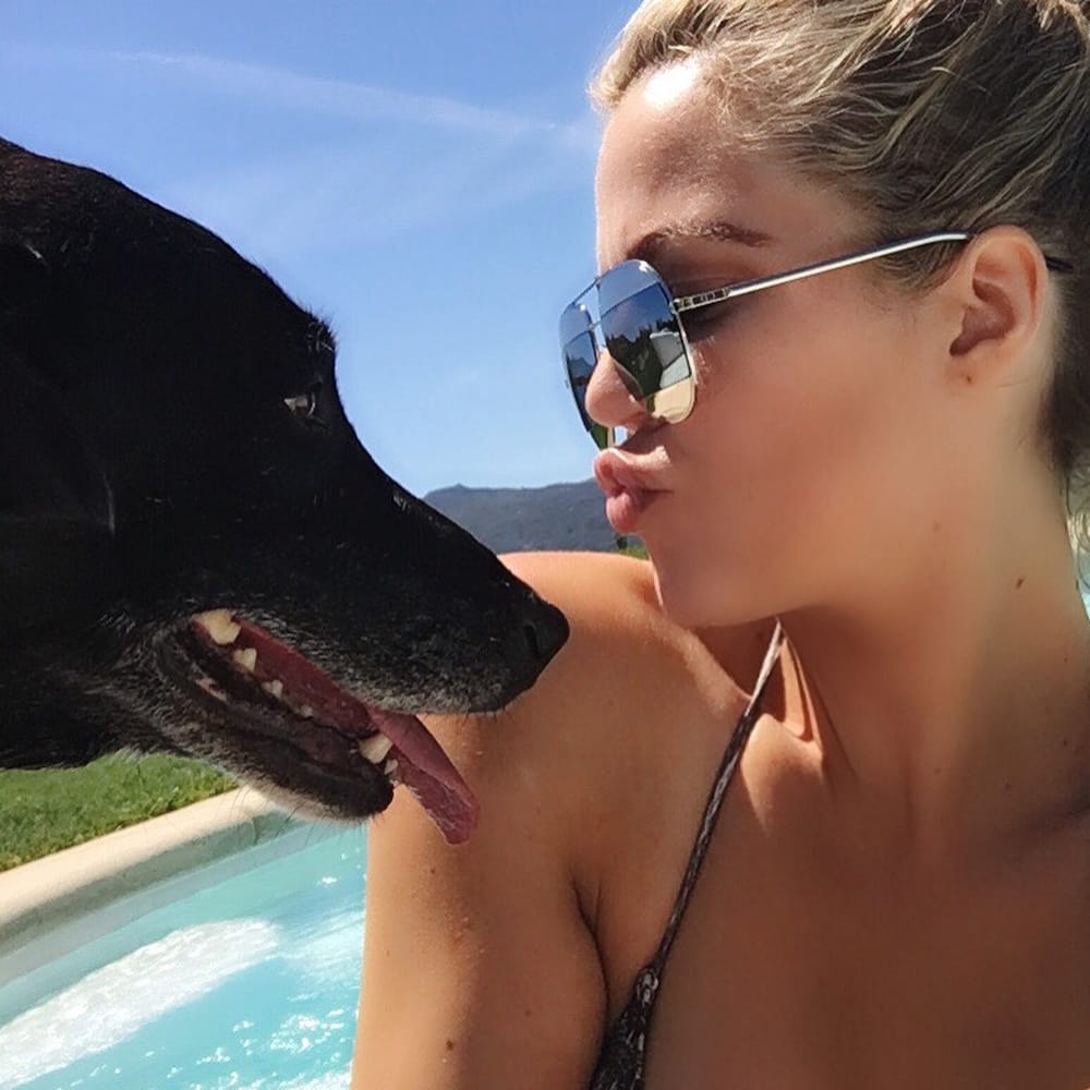 Anjing Peliharaan Khloe Kardashian Meninggal Dunia