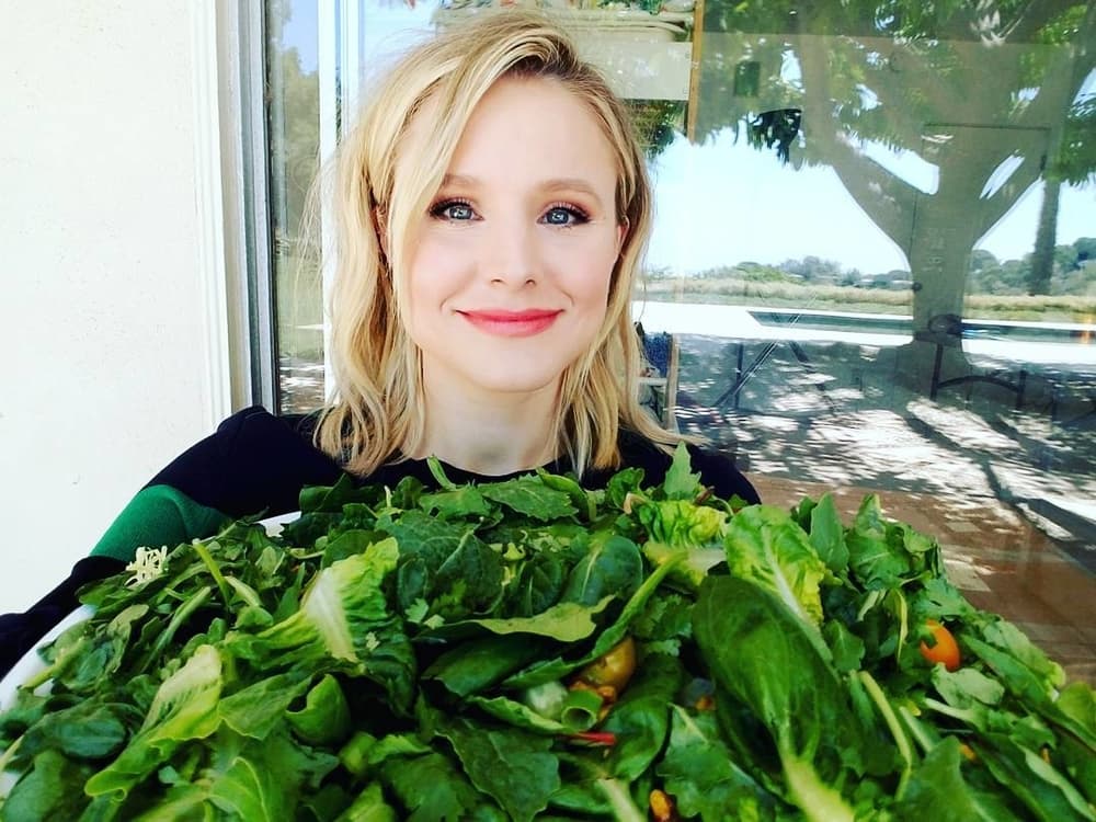 Cara Mendapatkan Rumah Tangga Bahagia Dari Kristen Bell