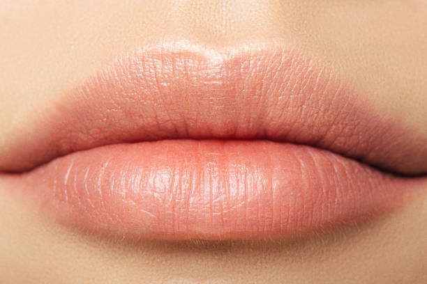 7 Cara Menipiskan Bibir Dengan Makeup