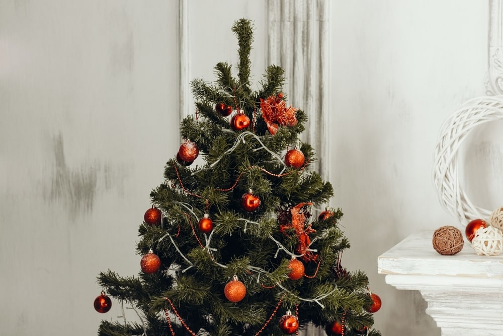 Deretan Lagu Natal Terbaru Untuk Meriahkan Hari Natal