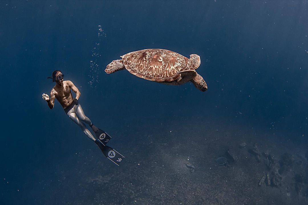 Kenali Freediving, Olahraga Yang Digeluti Musisi Dikta