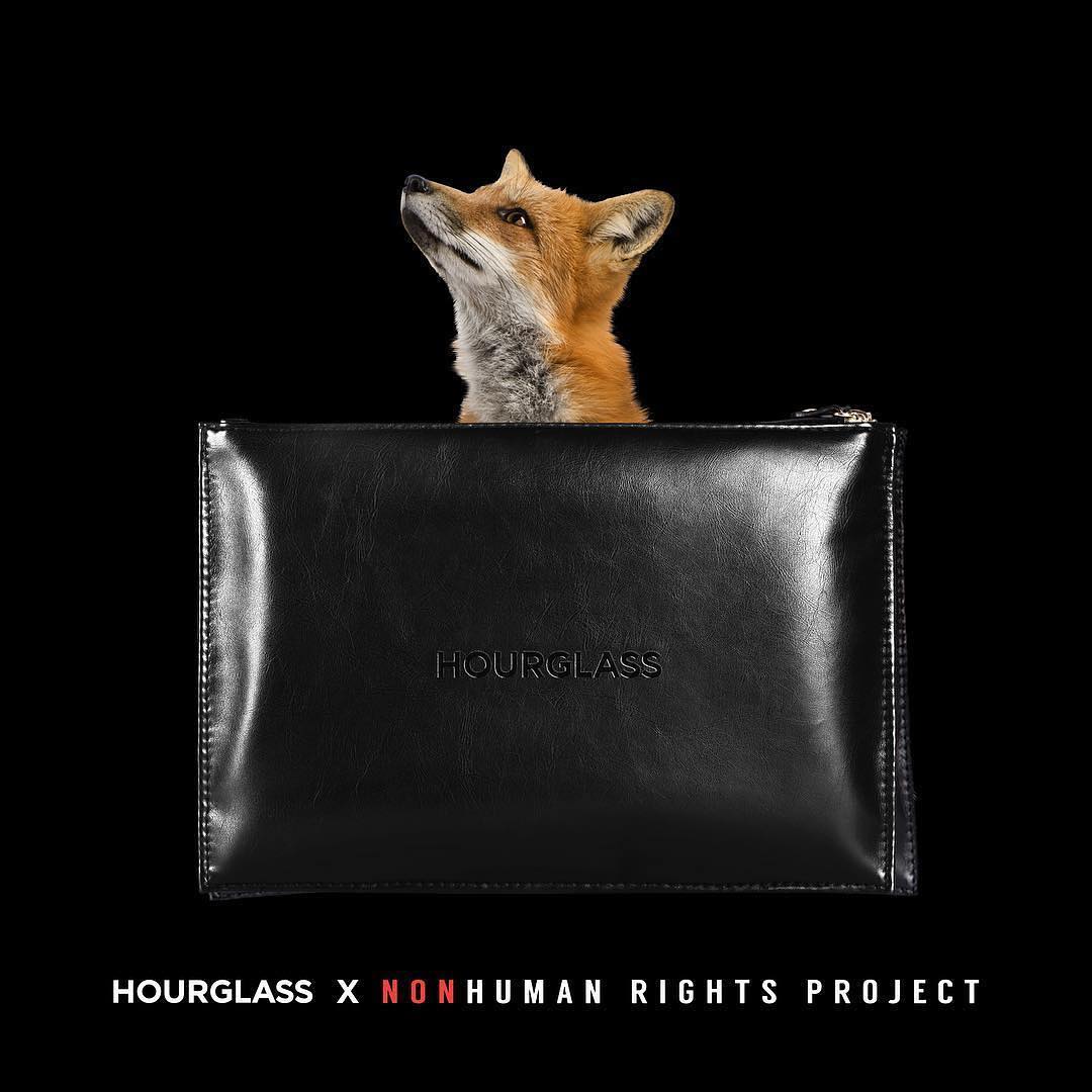 Hourglass Berkolaborasi Dengan Nonhuman Rights Project