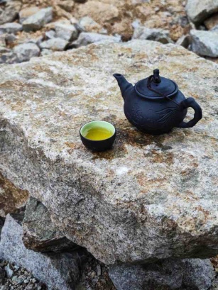 Ini 8 Manfaat Hojicha Tea untuk Kesehatan Tubuh