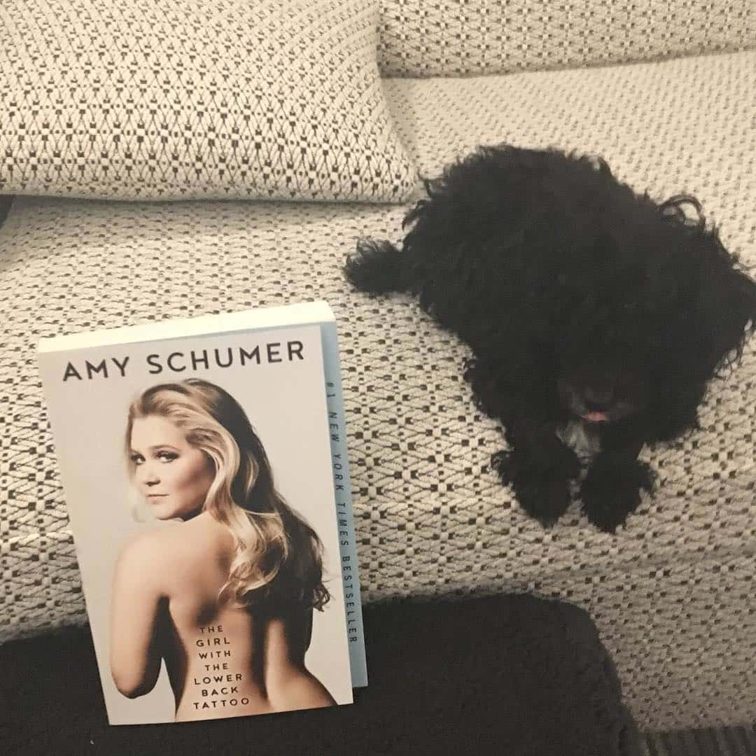 Intip Anjing Peliharaan Baru Amy Schumer