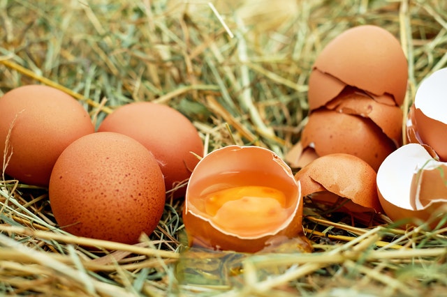 Mengulik Khasiat Kulit Telur Ayam untuk Perawatan Kulit