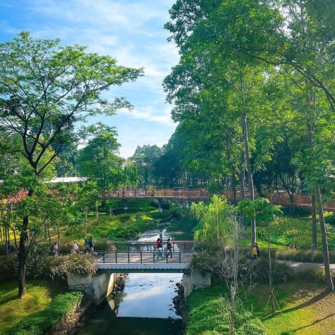 Ini 6 Taman Yang Cocok Untuk Piknik di Jakarta