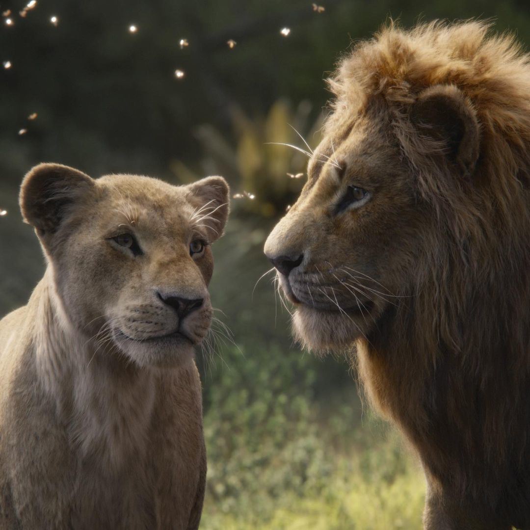 Kabar Terbaru Prekuel Film The Lion King