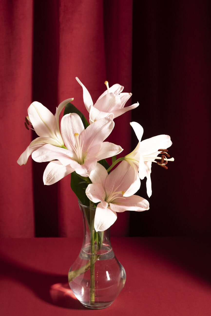 Ketahui Dulu, 5 Makna Memberikan Bunga Lily Untuk Pasangan
