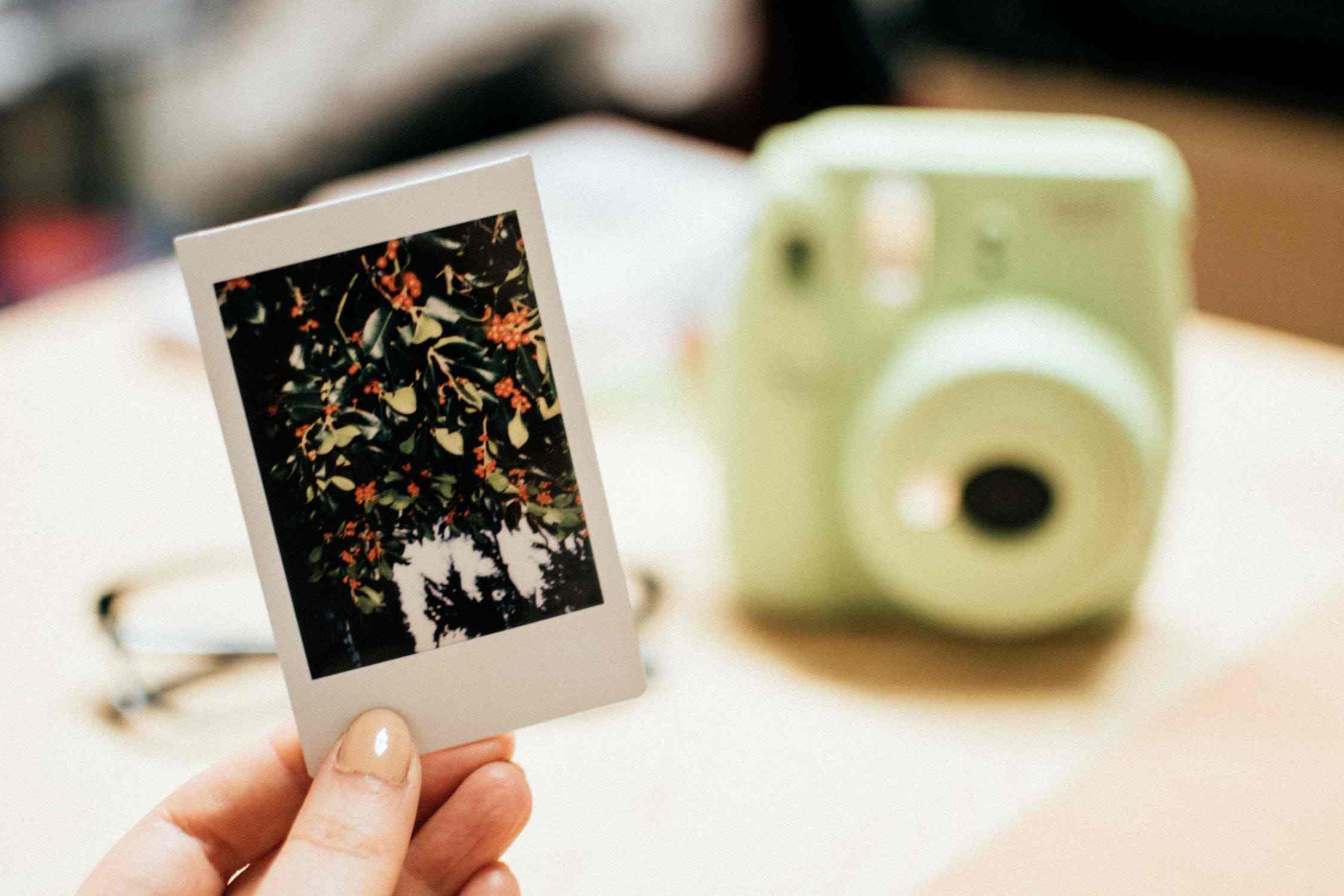 Alasan Kamera Polaroid Selalu Dibawa Saat Liburan