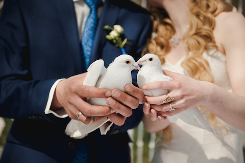 Melepaskan Sepasang Burung Merpati Saat Pernikahan