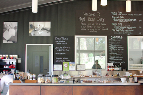Mencicipi Keju Lezat di Main Ridge Dairy, Australia
