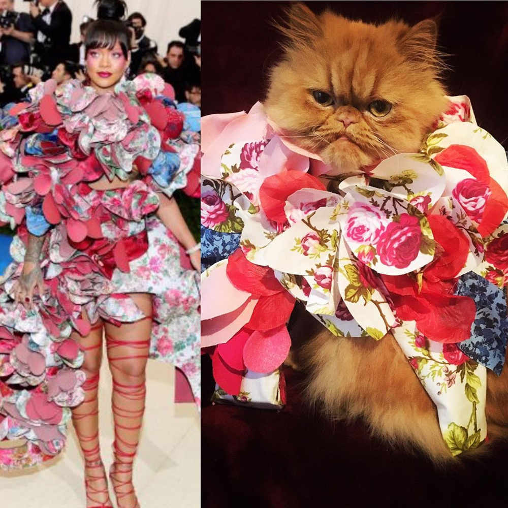 13 Penampilan Anjing Dan Kucing Mengikuti Met Gala Challenge