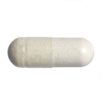 4 Suplemen Esensial untuk Anda