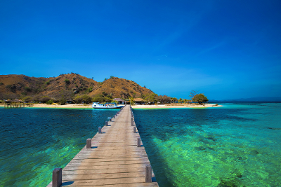 Bulan Madu Istimewa di Pulau Komodo