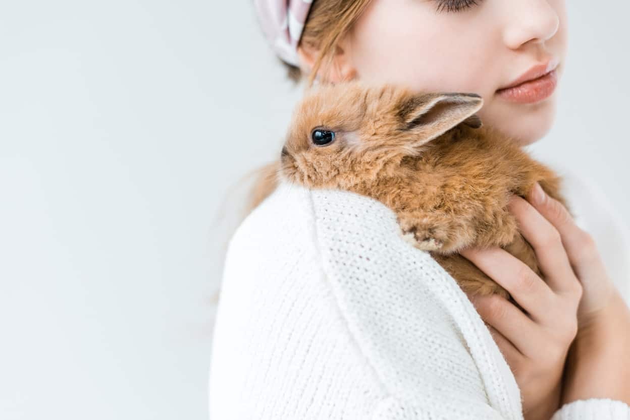 Tandai! Ini 6 Brand Kecantikan yang Cruelty-Free