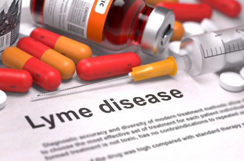 7 Fakta Penyakit Lyme yang Wajib Diketahui