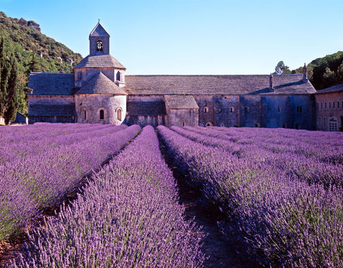 Nikmati Aneka Wine di Provence, Prancis