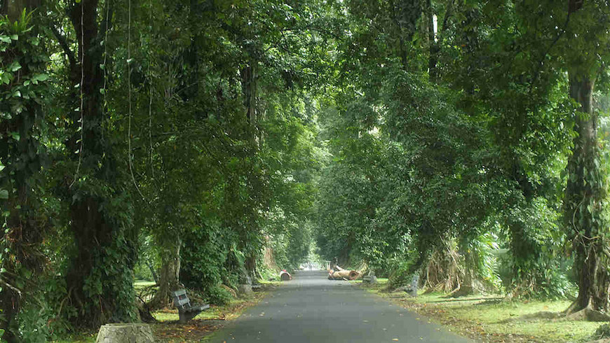 Tempat Wisata di Bogor yang Paling Hits