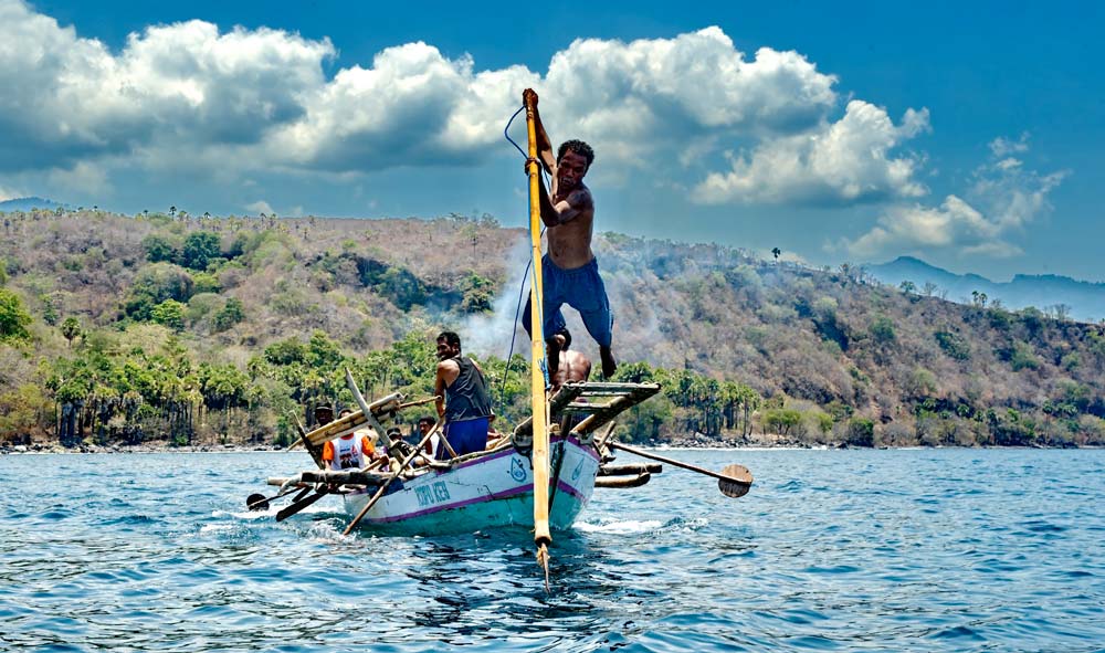 Liburan Sambil Berburu Ikan Paus di Lembata, NTT