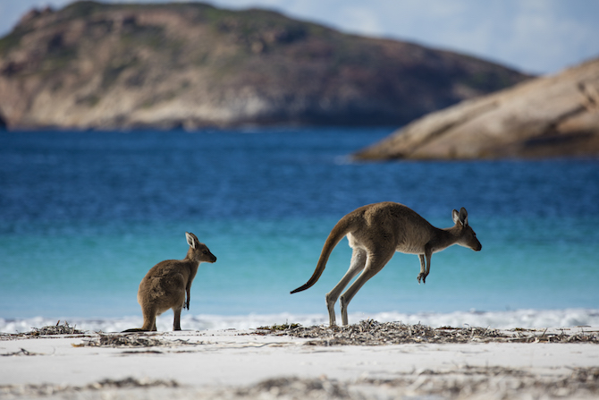 Tempat Wisata Paling Cantik di Australia Barat