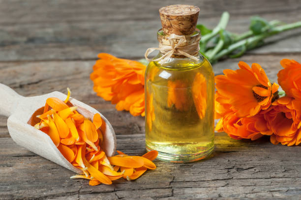 Intip 4 Manfaat Calendula Oil Bagi Kecantikan, Apa Saja?