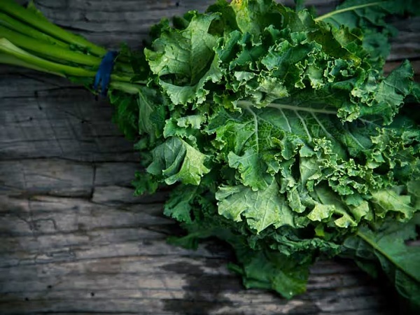 Kenali 4 Manfaat Konsumsi Sayur Kale Secara Rutin