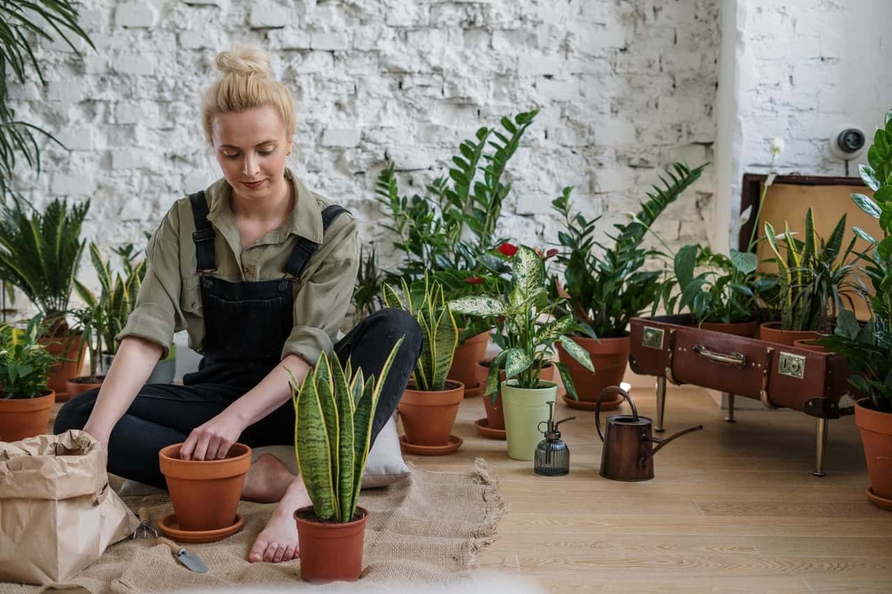 Peralatan Berkebun Wajib Punya Di Rumah