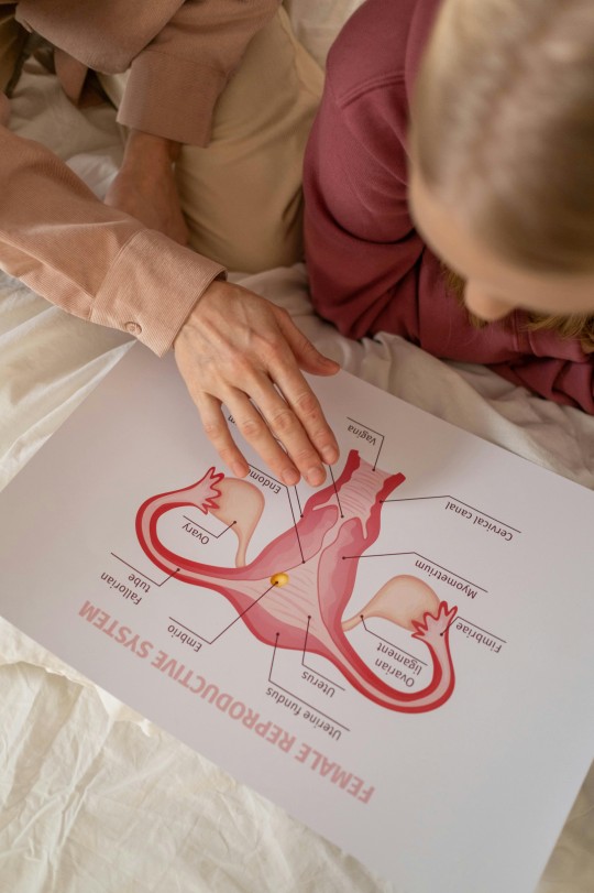 Ladies! Ini 7 Ciri Rahim yang Sehat yang Perlu Kamu Ketahui