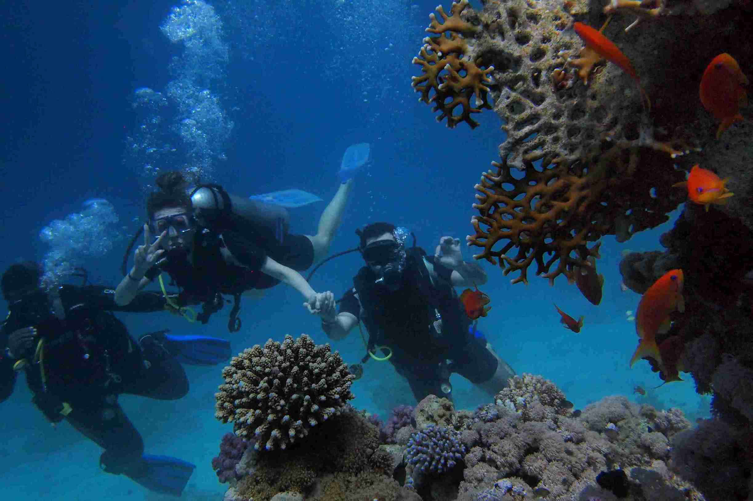 Perbedaan Diving dan Scuba Diving yang Wajib Diketahui! 