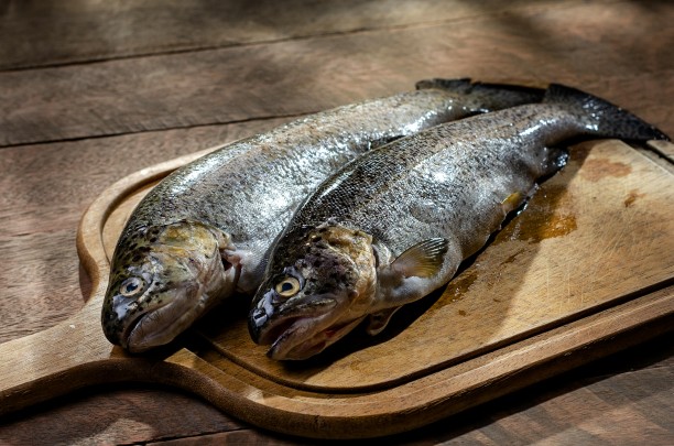 Ini 7 Manfaat Salmon untuk Kesehatan yang Wajib Kamu Tahu