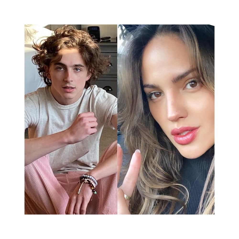 Timothee Chalamet Dikabarkan Berpacaran Dengan Eiza Gonzalez